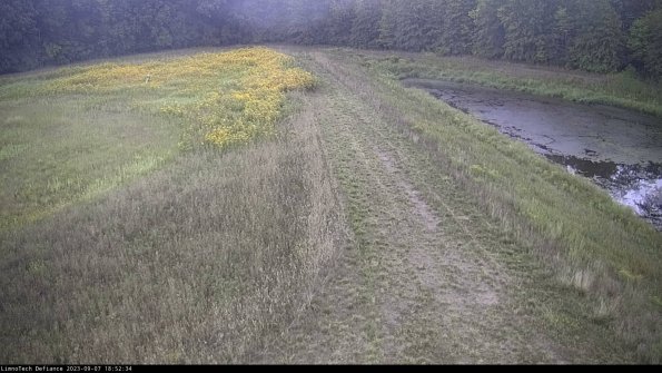 Cell 4 to Basin_23-09-07_18-52-34-89