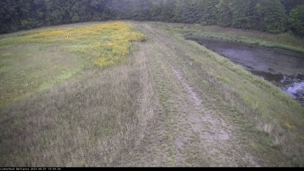 Cell 4 to Basin_23-09-07_19-59-34-89