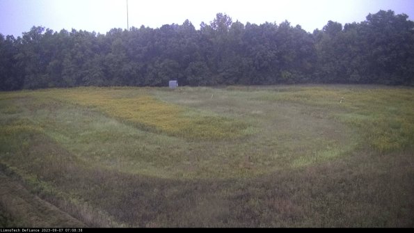 Cell 4_23-09-07_07-08-38-86