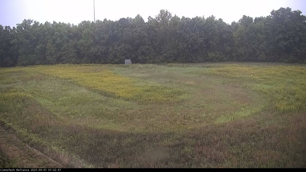 Cell 4_23-09-07_07-42-07-88