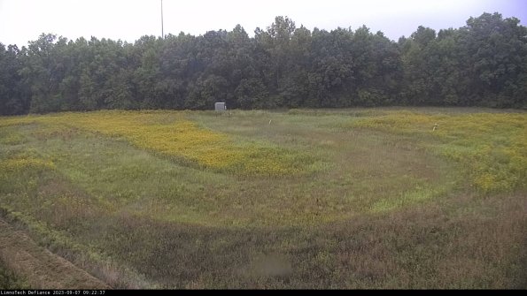 Cell 4_23-09-07_09-22-37-87