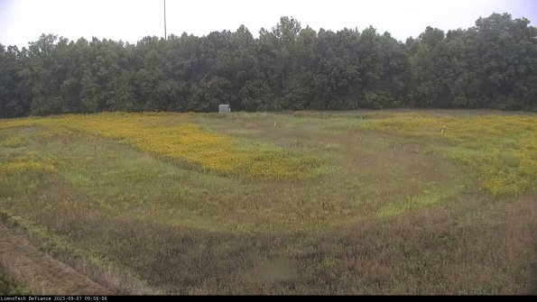 Cell 4_23-09-07_09-56-06-89