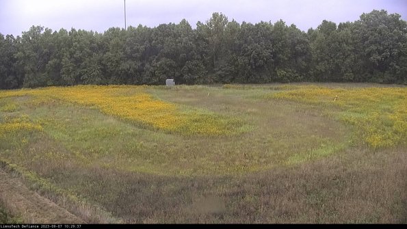 Cell 4_23-09-07_10-29-37-88