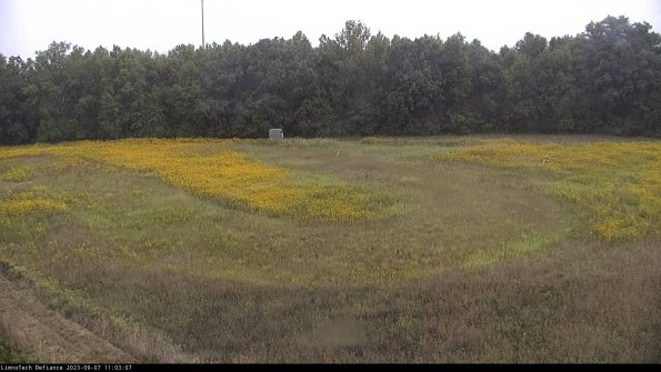 Cell 4_23-09-07_11-03-07-87