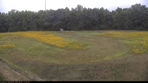 Cell 4_23-09-07_11-36-37-89