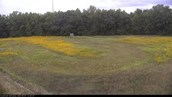 Cell 4_23-09-07_12-43-37-86