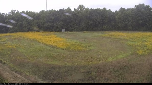 Cell 4_23-09-07_14-24-05-86