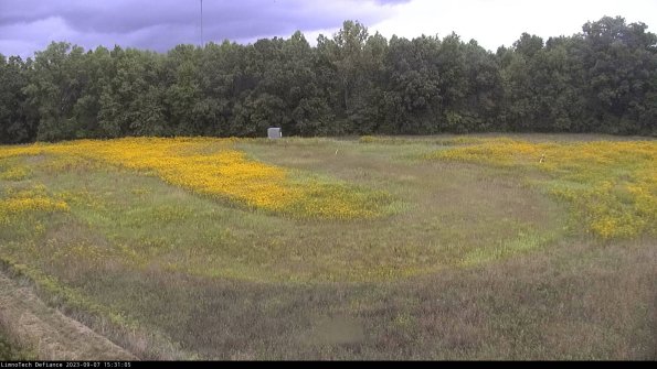 Cell 4_23-09-07_15-31-05-90