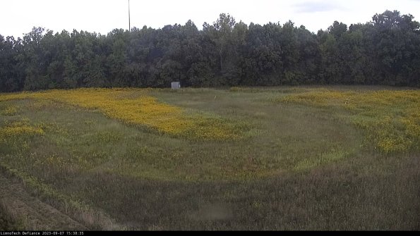 Cell 4_23-09-07_15-38-35-92