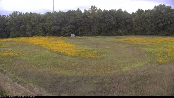 Cell 4_23-09-07_16-38-06-97