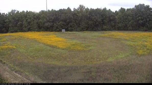 Cell 4_23-09-07_17-45-05-88