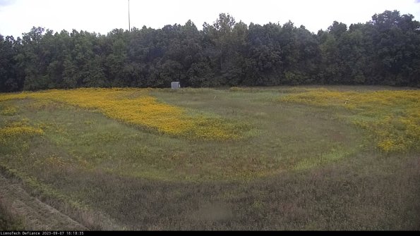 Cell 4_23-09-07_18-18-35-87