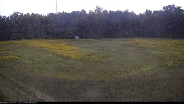 Cell 4_23-09-07_18-52-04-89