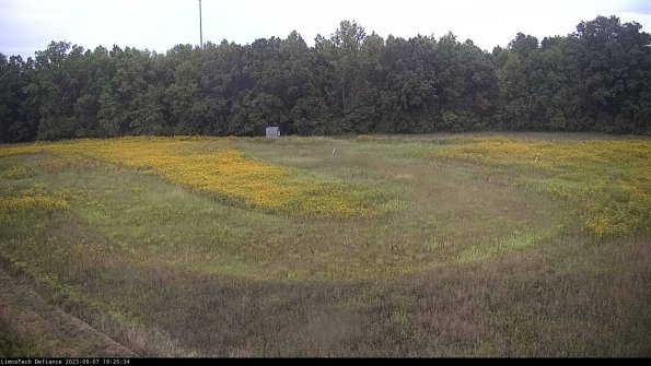 Cell 4_23-09-07_19-25-34-88