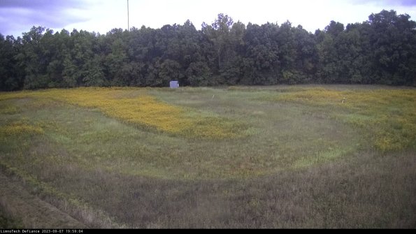 Cell 4_23-09-07_19-59-04-90