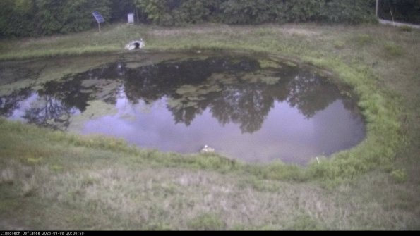 Basin Right_23-09-08_20-00-50-89