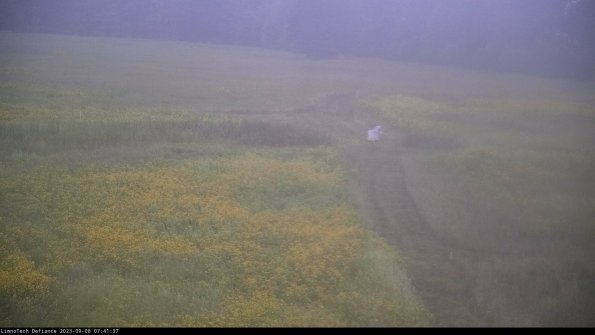 Cell 1 to 2_23-09-08_07-41-37-88