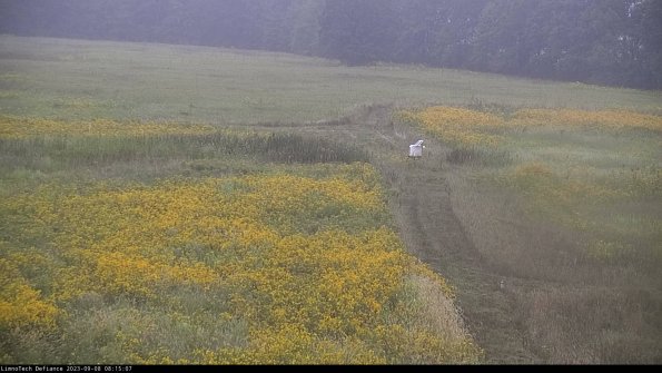 Cell 1 to 2_23-09-08_08-15-07-90