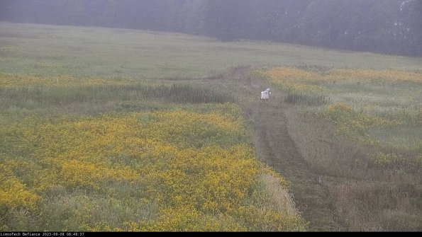 Cell 1 to 2_23-09-08_08-48-37-89