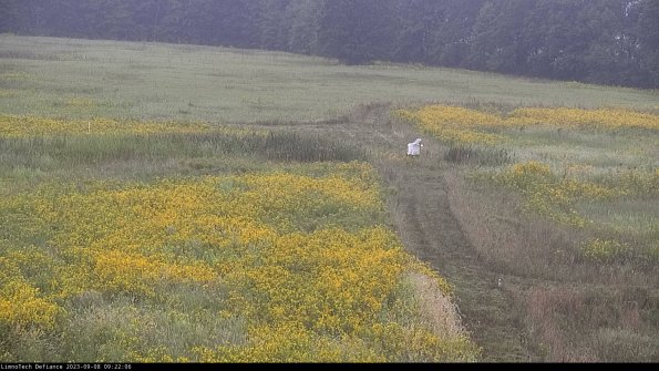 Cell 1 to 2_23-09-08_09-22-06-87