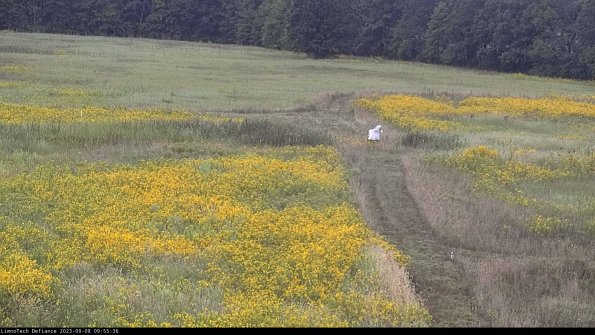 Cell 1 to 2_23-09-08_09-55-36-89