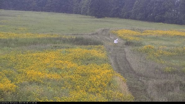 Cell 1 to 2_23-09-08_11-36-05-88