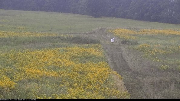 Cell 1 to 2_23-09-08_12-09-35-87