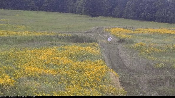 Cell 1 to 2_23-09-08_17-44-29-87