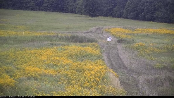 Cell 1 to 2_23-09-08_19-25-00-86