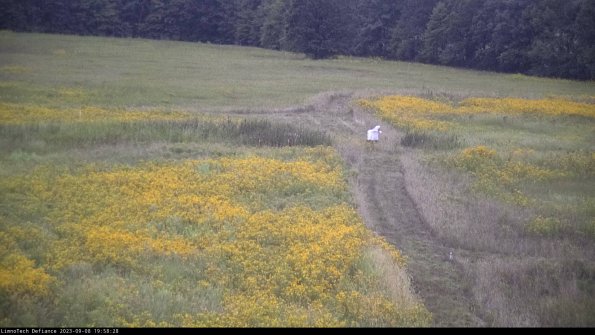 Cell 1 to 2_23-09-08_19-58-28-88