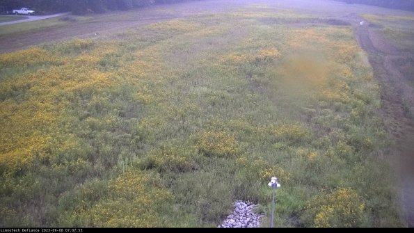 Cell 1_23-09-08_07-07-53-88