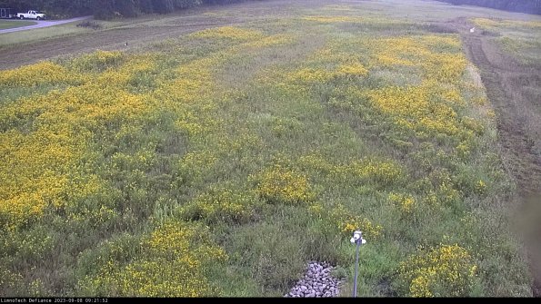 Cell 1_23-09-08_09-21-52-89