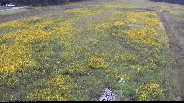 Cell 1_23-09-08_09-55-22-88