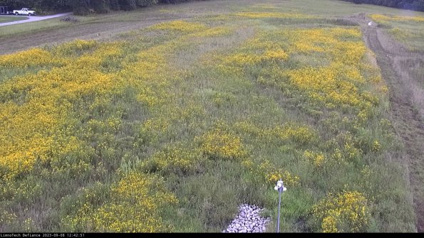 Cell 1_23-09-08_12-42-51-88