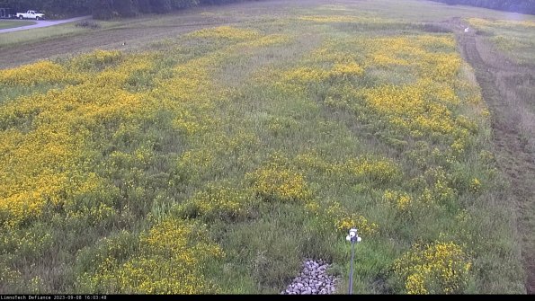 Cell 1_23-09-08_16-03-48-90