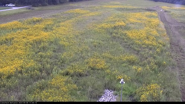 Cell 1_23-09-08_17-44-15-89