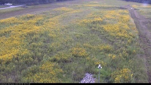 Cell 1_23-09-08_18-17-46-87