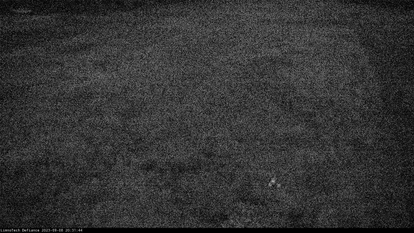 Cell 1_23-09-08_20-31-44-89