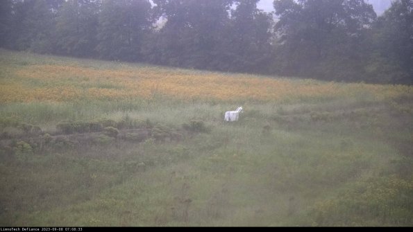 Cell 2 to 3_23-09-08_07-08-34-09