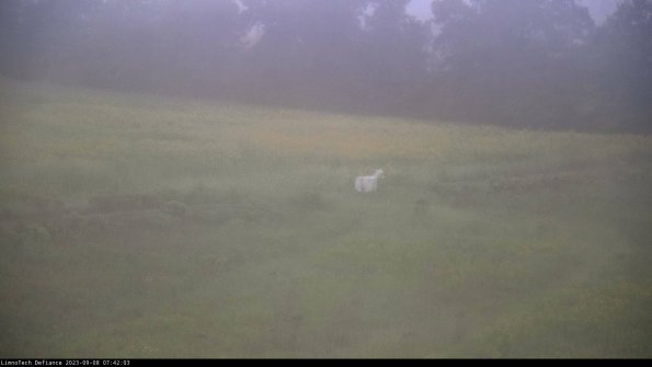 Cell 2 to 3_23-09-08_07-42-04-01