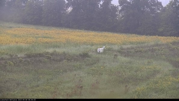 Cell 2 to 3_23-09-08_08-49-03-88