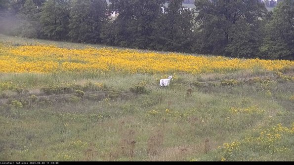 Cell 2 to 3_23-09-08_11-03-00-95