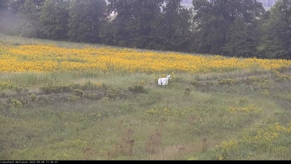 Cell 2 to 3_23-09-08_11-36-31-91