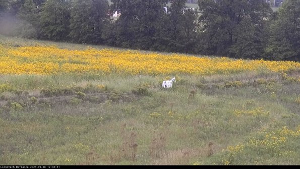 Cell 2 to 3_23-09-08_12-43-32-02