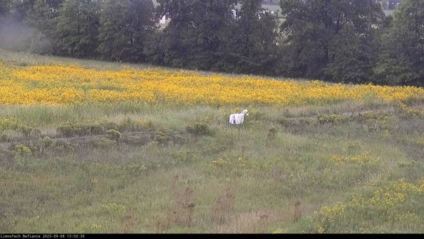 Cell 2 to 3_23-09-08_13-50-30-99