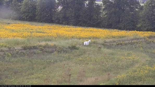 Cell 2 to 3_23-09-08_18-18-27-02