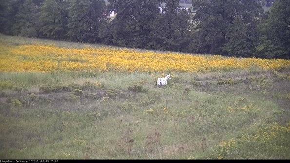 Cell 2 to 3_23-09-08_19-25-26-96