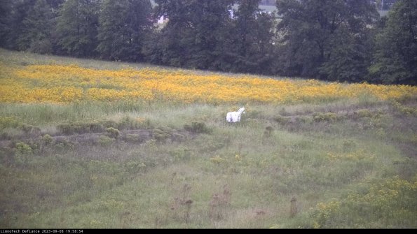 Cell 2 to 3_23-09-08_19-58-55-04