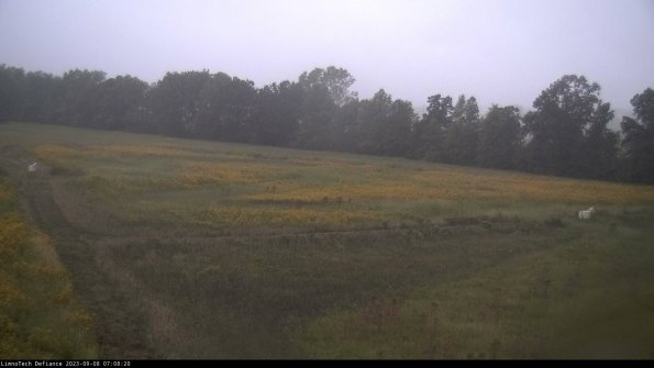 Cell 2_23-09-08_07-08-20-97