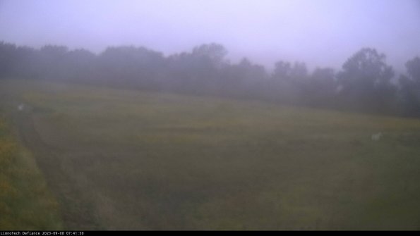 Cell 2_23-09-08_07-41-50-93